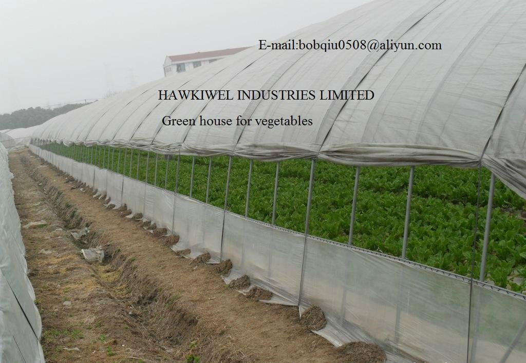 green house for vegetables plants