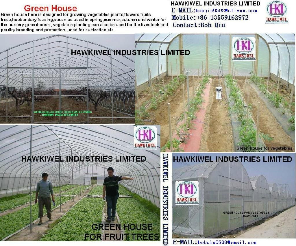 green house for vegetables