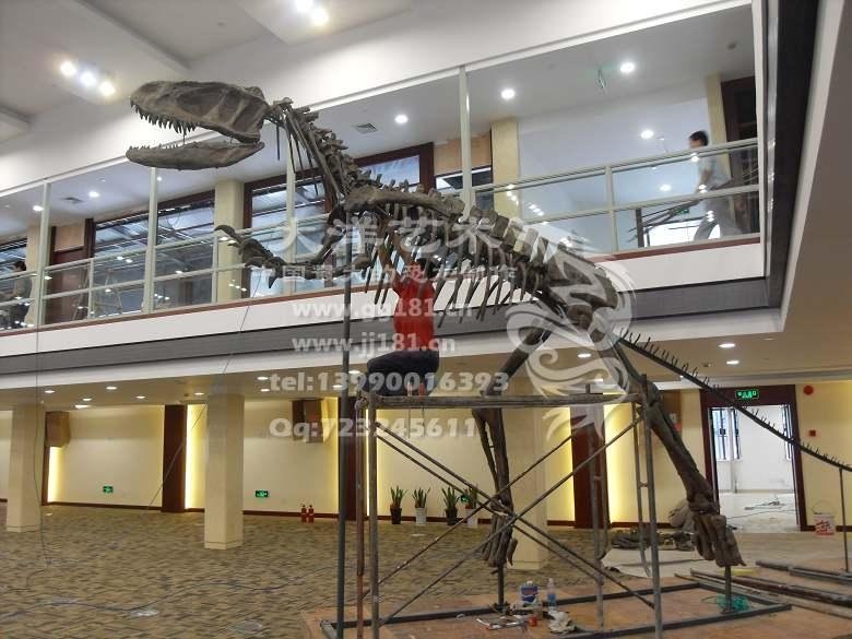 骨架  模型  化石  骨架恐龙  恐龙模型