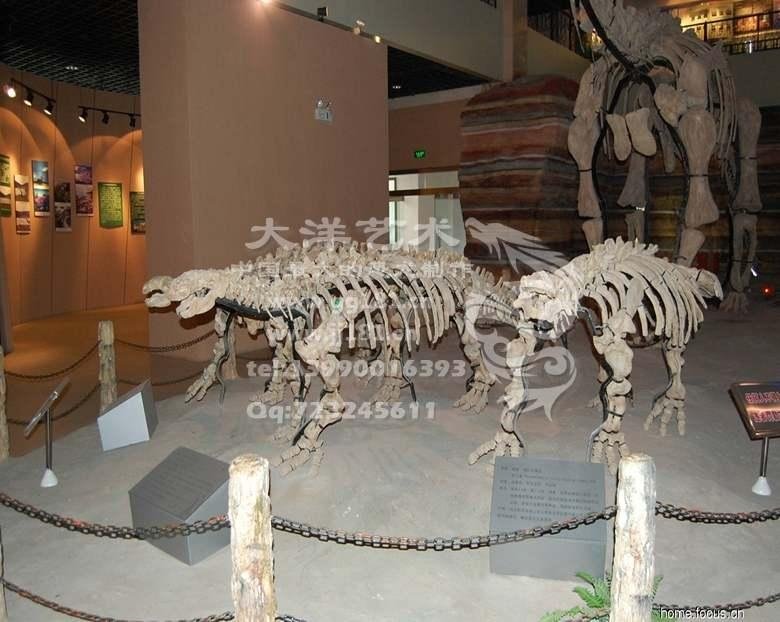 骨架  模型  化石  骨架恐龙  恐龙模型 5