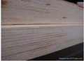 continuous layer plywood