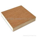 Particle Board  