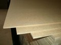 Particle Board  