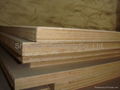 continuous layer plywood