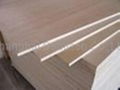 continuous layer plywood