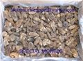 Indian Black Dried Morels Mushroom 