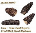 Indian Black Dried Morels Mushroom 
