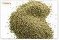 CELERY SEED