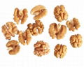 WALNUT KERNEL