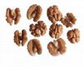 WALNUT KERNEL