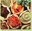 SPICES AND HERBS