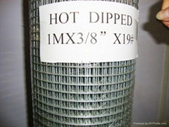 hot dip galvanized welded wire mesh,mesh