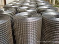 hot dip galvanized welded wire mesh,mesh fence 3