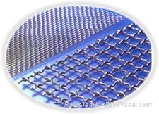 crimped wire mesh,galvanized wire mesh 3