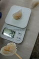  Automatic Shrimp Dumpling Machine  NEW 4