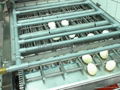 egg peeling machine 3