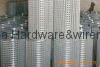 Welded Wire Mesh 2