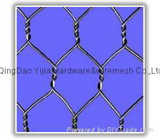 Hexagonal Wire Mesh