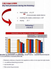 Antithermal Yellowing Agent for heating setting of Nylon