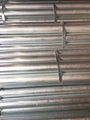 hot dipped galvanized pipe