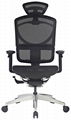 Comfortable Ergonomic Mesh Chair 1