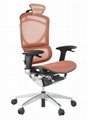 Comfortable Ergonomic Mesh Chair 3