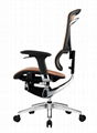 Ergonomic office chair 1