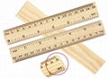 Measuring Ruler for General Science and Math 1