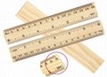 Measuring Ruler for General Science and Math