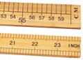 Measuring Ruler for General Science and Math 4