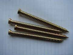 Concrete Screw