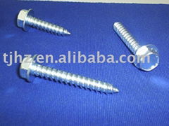 Hex Head Self-Tapping Screw