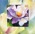 Floral oil paintings 5