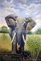 Animal paintings  2