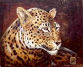 Animal paintings  4