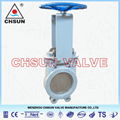 Manual Gate Valve 2