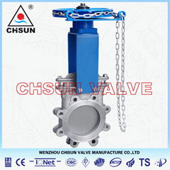 API Gate Valve