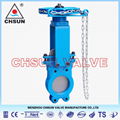 API Gate Valve  2