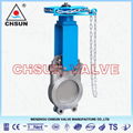 API Gate Valve  3