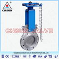 API Gate Valve  4