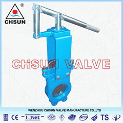 Manual Lever Gate Valve