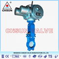 Manual Lever Gate Valve 3