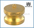 Brass Dust Cap