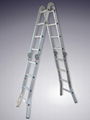 Aluminum Ladder  1