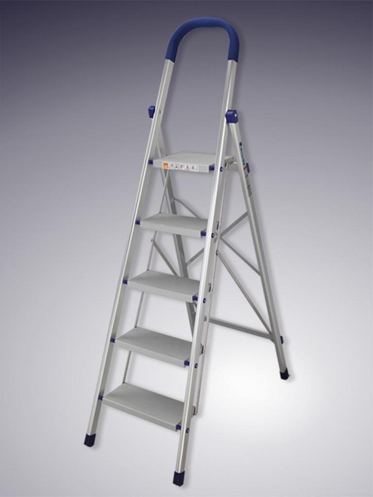 Aluminum Ladder  3
