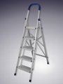 Aluminum Ladder  3