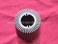 Aluminum Heatsink  1