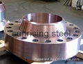 flange  F304 F304L F310S F316 F316L F31803 F31254 F904L F44 F51 F55