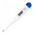 Electronic Thermometer 2