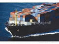 China shipping agent 4